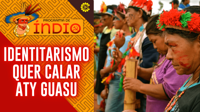 Programa de índio - thumbs (1)