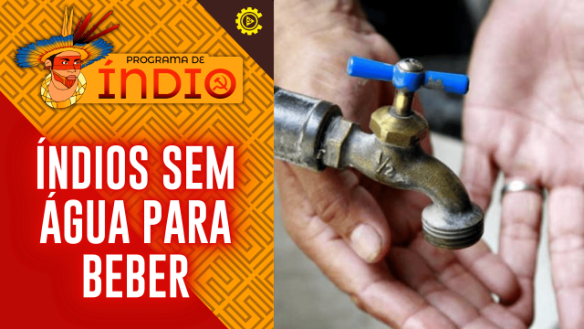 Programa de índio - thumbs (2)